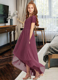 Carina A-Line V-neck Asymmetrical Chiffon Lace Junior Bridesmaid Dress With Ruffle STAP0013453