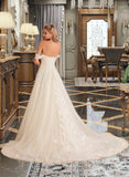 Brooke Ball-Gown/Princess Chapel Train Tulle Lace Wedding Dress With Sequins STAP0013726