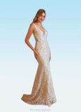 Brisa Mermaid V-Neck Lace Tulle Chapel Train Dress Diamond White/Nude STAP0022780