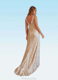 Brisa Mermaid V-Neck Lace Tulle Chapel Train Dress Diamond White/Nude STAP0022780