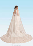 Brisa Mermaid V-Neck Lace Tulle Chapel Train Dress Diamond White/Nude STAP0022780