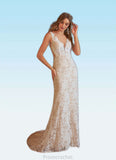 Brisa Mermaid V-Neck Lace Tulle Chapel Train Dress Diamond White/Nude STAP0022780