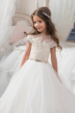 New Arrival Scoop Tulle With Applique Ball Gown Flower Girl