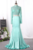 New Arrival Two Pieces Mermaid Elastic Satin&Tulle With Appliques Long Sleeves