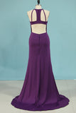 New Arrival Spaghetti Straps Open Back Spandex Mermaid Evening