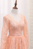 A Line V Neck Long Sleeves Lace Homecoming Dresses With