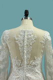 Bateau Wedding Dresses Mermaid Long Sleeve Tulle With Applique Sweep