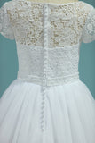 Bateau Wedding Dresses A-Line Tulle Cap Sleeves Zipper Back Court