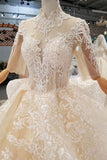 Luxury Wedding Dresses High Neck A-Line Lace Half Sleeves Open Back Cathedral