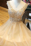 Homecoming Dresses A Line V Neck Tulle With Applique