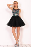 Homecoming Dresses A-Line Scoop Short/Mini Tulle With