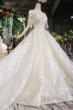 Ball Gown Wedding Dresses Scoop Half Sleeves Appliques 2 Meter