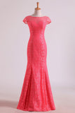 Bridesmaid Dresses Scoop Column Floor Length Lace