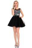 Homecoming Dresses A-Line Scoop Short/Mini Tulle With