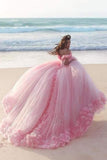 Off The Shoulder Ball Gown Quinceanera Dresses Tulle With Handmade