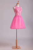 Lovely Homecoming Dresses Scoop A Line Short Tulle With Applique