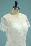 New Arrival Scoop Short Sleeves Mermaid Tulle With Applique Wedding