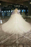 New Arrival Gorgeous Wedding Dresses Lace Up Tulle A-Line Lace