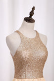 Homecoming Dresses A Line Scoop Sequin&Lace