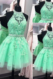 A Line Homecoming Dresses Halter Beaded Bodice Short/Mini Tulle Zipper