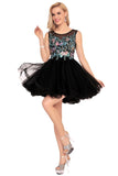 Homecoming Dresses A-Line Scoop Short/Mini Tulle With