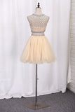 Homecoming Dresses Scoop A-Line Beaded Bodice Tulle