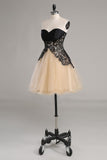 A Line Sweetheart Homecoming Dresses Tulle & Lace Short/Mini Lace