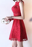 Homecoming Dresses A Line Scoop Lace Short/Mini Zipper