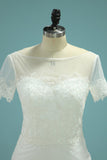 New Arrival Scoop Short Sleeves Mermaid Tulle With Applique Wedding