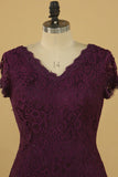 New Arrival V Neck Short Sleeves Mermaid Lace Mother Of The Bride Dresses