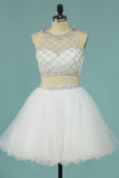 Hot Selling Homecoming Dresses Scoop A-Line Beaded Bodice Tulle