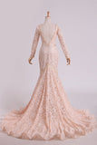 Long Sleeves Wedding Dresses Scoop Lace With Sash Sweep Train Champagne