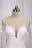 New Arrival Wedding Dresses Tulle Scoop Long Sleeves With Applique