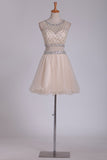 Hot Selling Homecoming Dresses Scoop A-Line Beaded Bodice Tulle