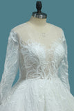 A Line Scoop Long Sleeves Wedding Dresses Tulle With Applique Chapel