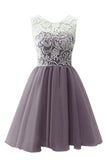 Elegant A-Line Round Neck Sleeveless Lace Homecoming Dresses