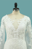 Elegant Mermaid Wedding Dresses Scoop Tulle With Appliques Long Sleeves Zipper