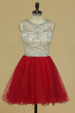 Scoop A Line Tulle Short/Mini Homecoming Dresses Fashion And