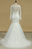 Long Sleeves V Neck Mermaid Wedding Dresses Tulle With Applique Court