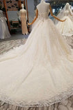 Luxury Wedding Dresses Halter A-Line Lace Half Sleeves Open Back Cathedral Train Top Quality