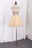 Homecoming Dresses Scoop A-Line Beaded Bodice Tulle