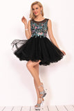 Homecoming Dresses A-Line Scoop Short/Mini Tulle With