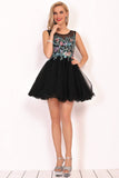 Homecoming Dresses A-Line Scoop Short/Mini Tulle With