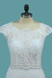 Lace Wedding Dresses Scoop With Beaded Waistline Covered Button Open