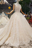 Luxury Wedding Dresses Halter A-Line Lace Half Sleeves Open Back Cathedral Train Top Quality