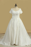 New Arrival Wedding Dresses V Neck Short Sleeves Satin A