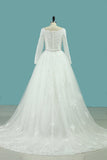 Long Sleeves V Neck Wedding Dresses Ball Gown Tulle With Applique & Beading Chapel