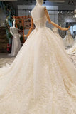 Luxury Wedding Dresses Halter A-Line Lace Half Sleeves Open Back Cathedral Train Top Quality