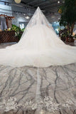 Ball Gown Lace Up Back Cathedral Train Wedding Dress