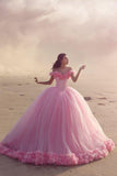 Off The Shoulder Ball Gown Quinceanera Dresses Tulle With Handmade